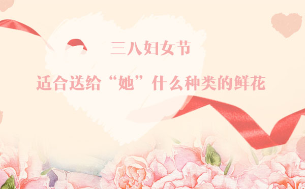 三八婦女節(jié)，適合送給“她”什么種類的鮮花？